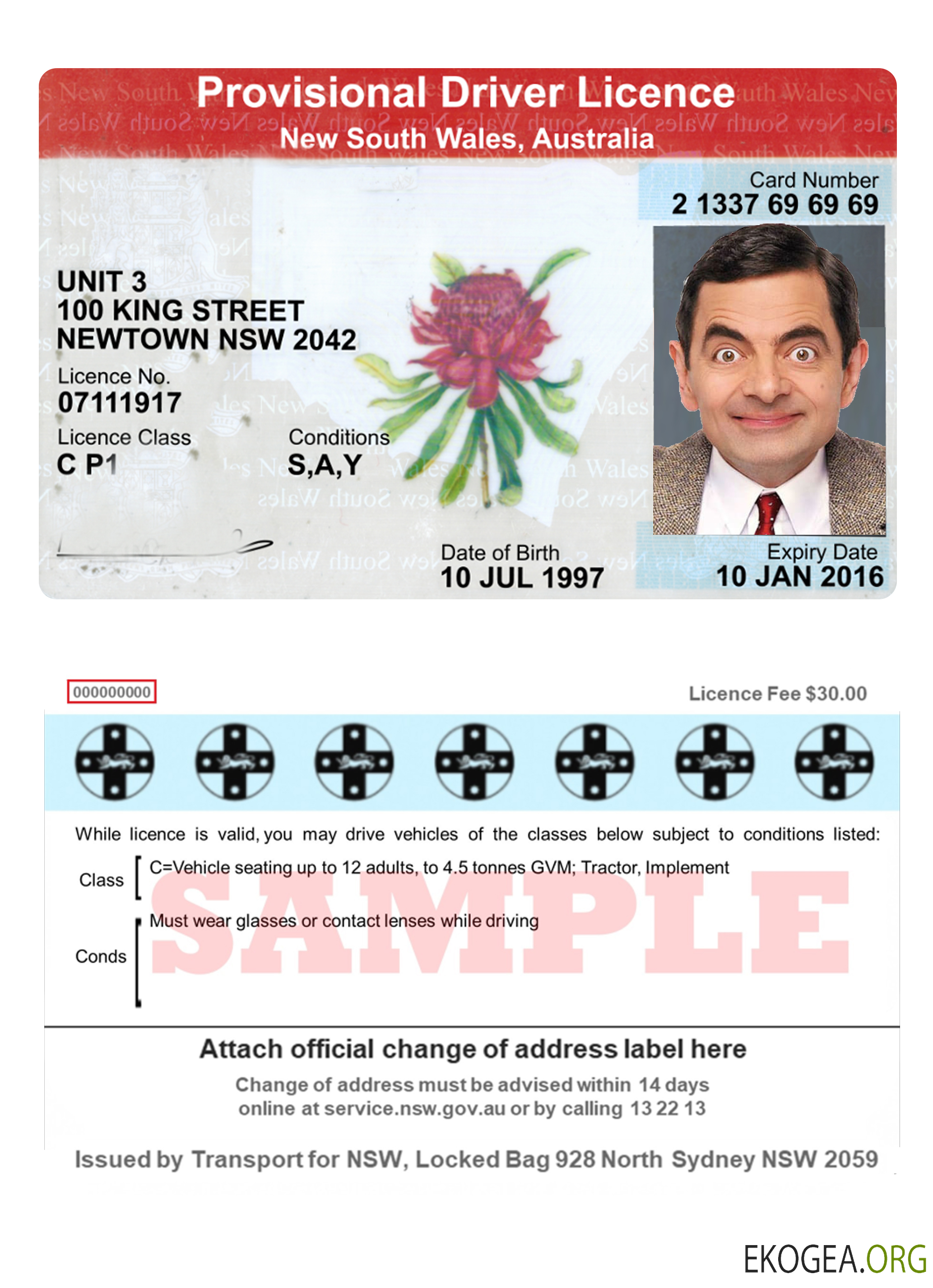 Australia New South Wales provisional driving license